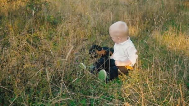 Little boy with a dog — Stock Video