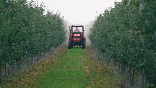 Pulverización del manzano con un tractor — Vídeos de Stock