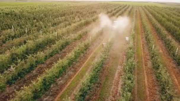 Pulverización del manzano con un tractor — Vídeo de stock