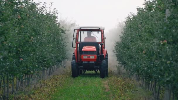 Pulverización del manzano con un tractor — Vídeos de Stock