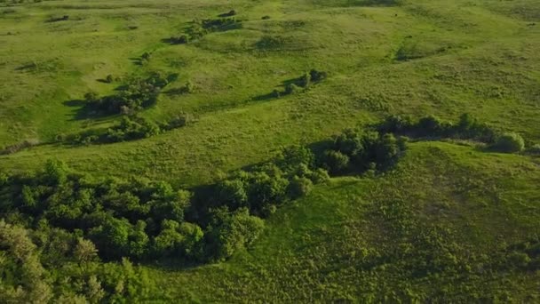 chemin de terre à la prairie 