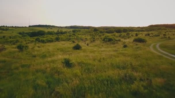 paysage avec vue sur les oiseaux 