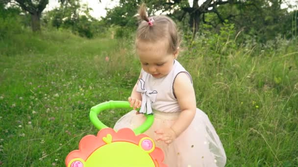 Little girl in the nature — Stock Video