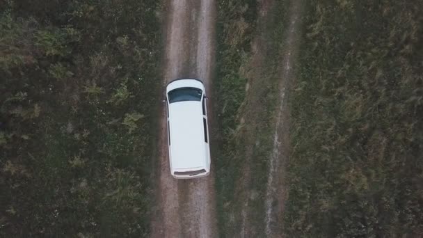 En bil av vit färg rider på en grusväg — Stockvideo