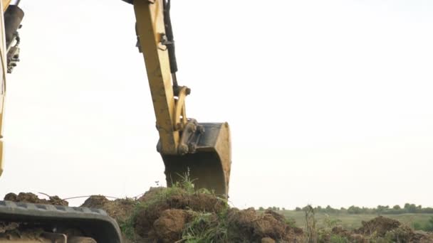 Escavadeira carrega um caminhão — Vídeo de Stock