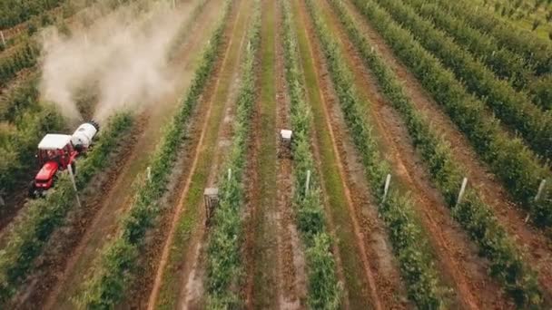 Apple tree besprutning med en traktor — Stockvideo