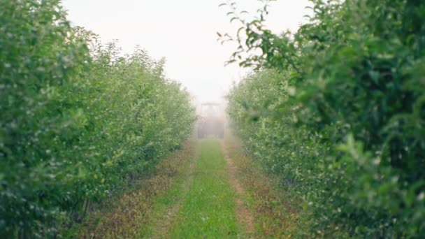 Appelboom, spuiten met een trekker — Stockvideo