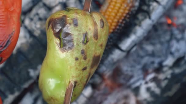 Cocinar pimienta en el fuego — Vídeos de Stock