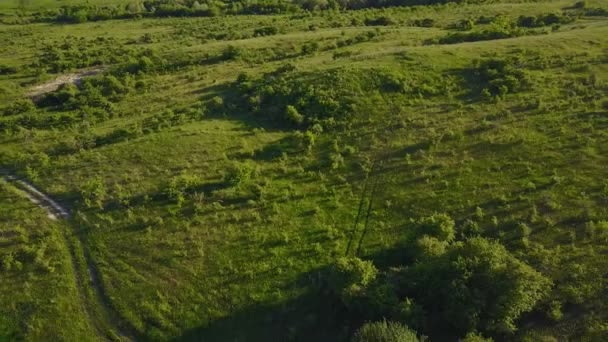 Estrada de terra para o prado — Vídeo de Stock