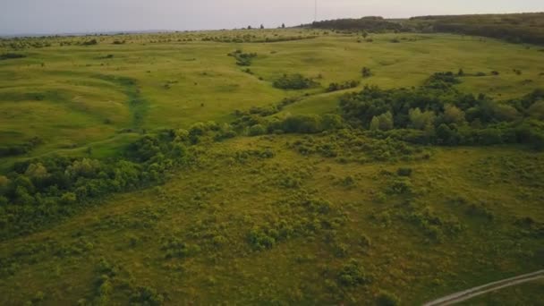 paysage avec vue sur les oiseaux 