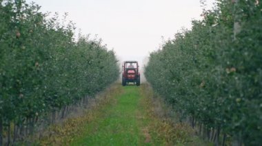 elma ağacı bir traktör ile püskürtme
