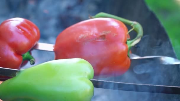 Cooking pepper on fire — Stock Video