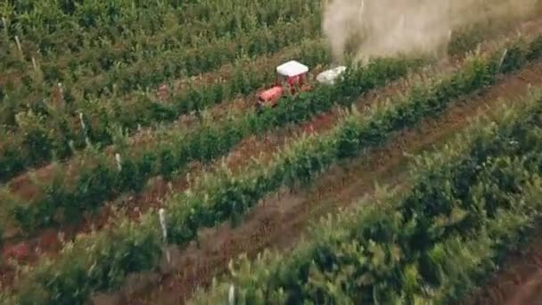 苹果树喷洒拖拉机 — 图库视频影像