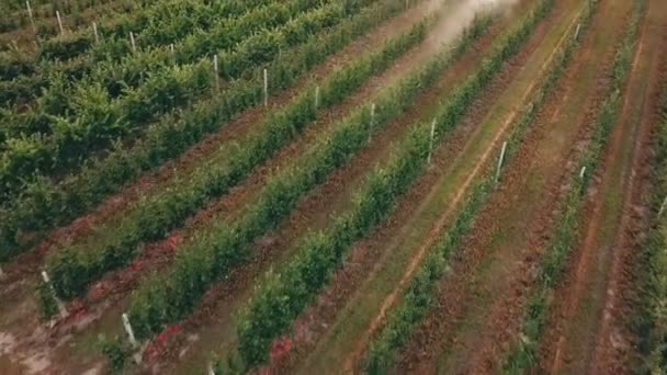 Apfelbaum mit Traktor besprüht — Stockvideo