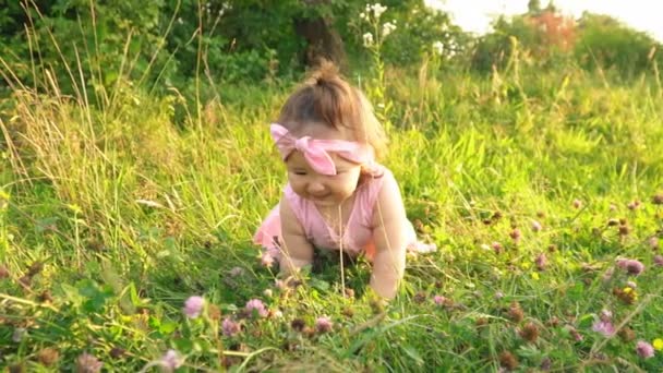 Маленькая девочка в розовом платье — стоковое видео