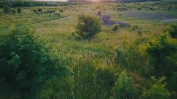 Camino de tierra a la pradera — Vídeos de Stock
