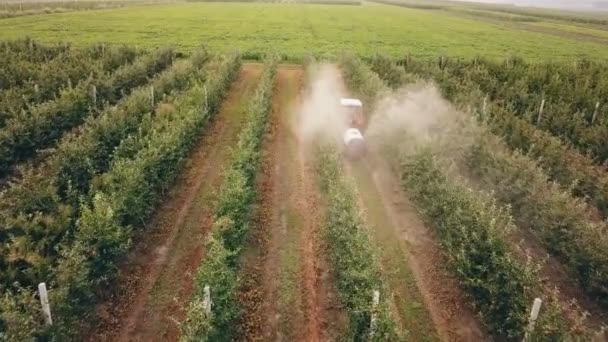 Apple tree spraying with a tractor — Stock Video