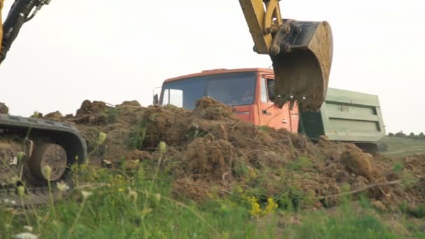 Graafmachine ladingen een vrachtwagen — Stockvideo