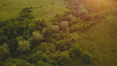 bir kuş bakışı görünüme ile manzara