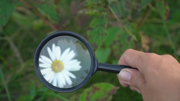 Petite fille regarde à travers une loupe — Video