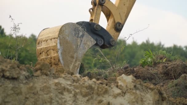 Excavadora carga un camión — Vídeo de stock