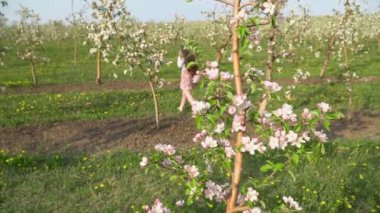 küçük kız elma bahçesi yürür