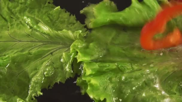 Slices of pepper falling into the water — Stock Video