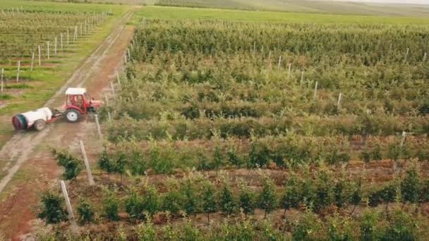 Pulverización del manzano con un tractor — Vídeos de Stock