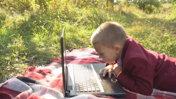 男の子はコンピューターを見てください。 — ストック動画