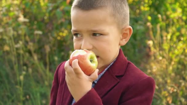 le garçon mange une pomme 