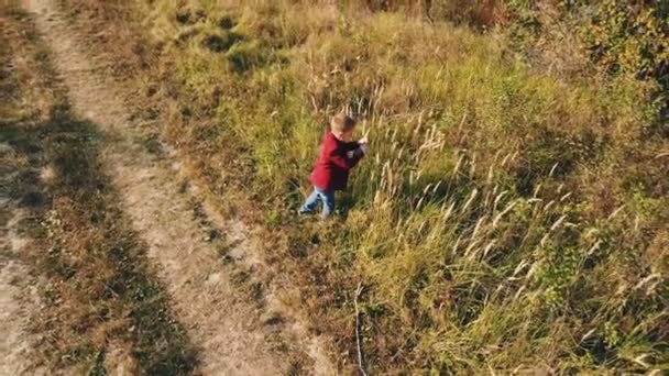 Petit garçon dans la nature — Video
