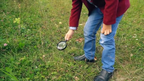 A boy with a magnifying glass — Stock Video