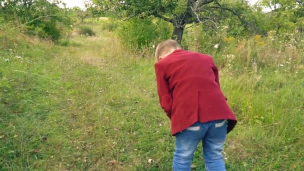 Bir çocuk bir büyüteç ile — Stok video
