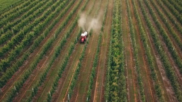 Apfelbaum mit Traktor besprüht — Stockvideo