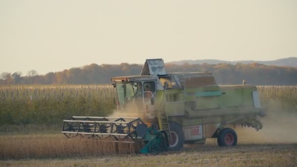 Oogsten van sojabonen door combineren — Stockvideo