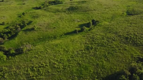 paysage avec vue sur les oiseaux 