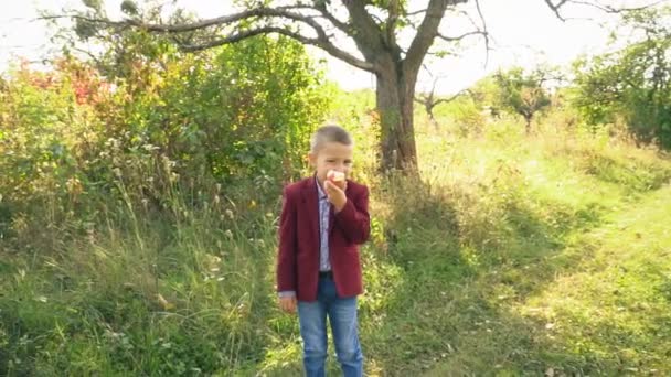 De jongen is het eten van een appel — Stockvideo