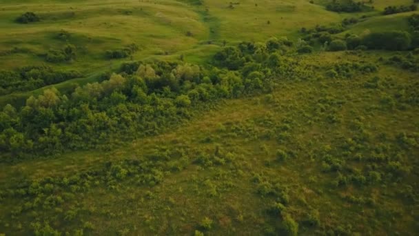 Paisaje con vista de pájaro — Vídeos de Stock