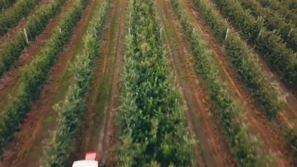 Elma ağacı bir traktör ile püskürtme — Stok video