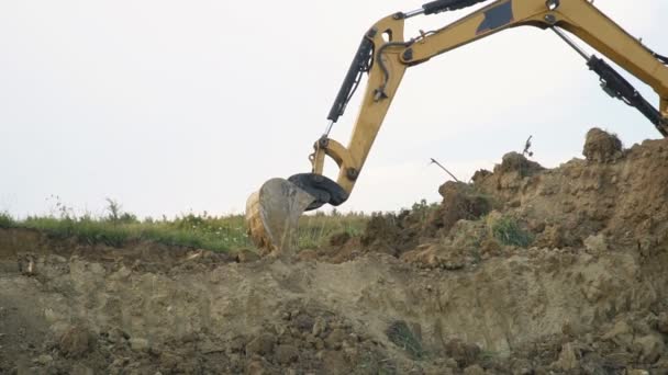 Excavator loads a truck — Stock Video