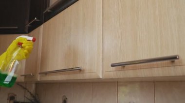 Kadın mutfakta Temizleme