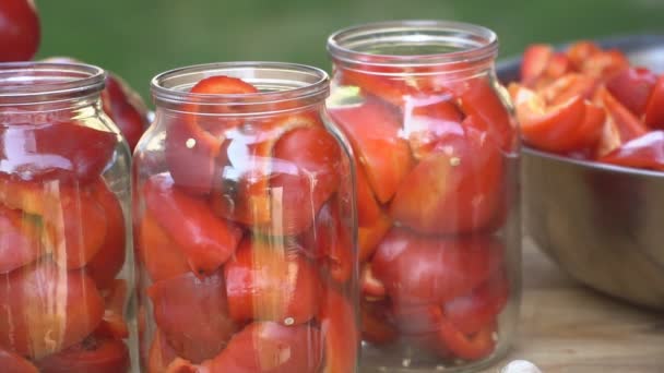 Preparazione per la preparazione del peperone rosso — Video Stock