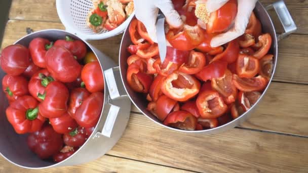 Corte de pimiento rojo — Vídeo de stock