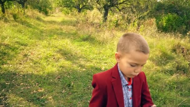 Мальчик с говорящим голосом на природе — стоковое видео