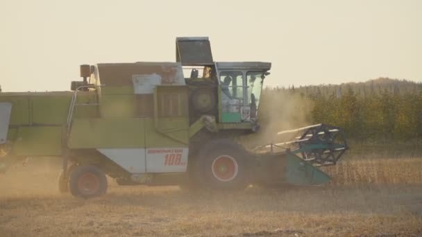 Colheita de soja por ceifa — Vídeo de Stock