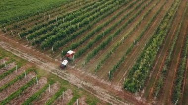 elma ağacı bir traktör ile püskürtme