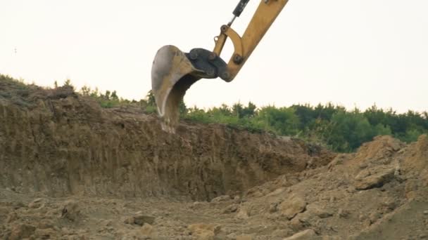 Graafmachine ladingen een vrachtwagen — Stockvideo