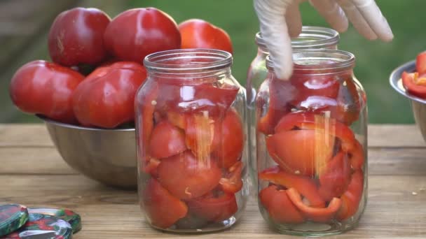 Preparazione per la preparazione del peperone rosso — Video Stock