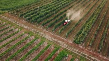 elma ağacı bir traktör ile püskürtme