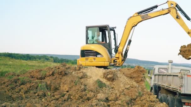 Excavator loads a truck — Stock Video